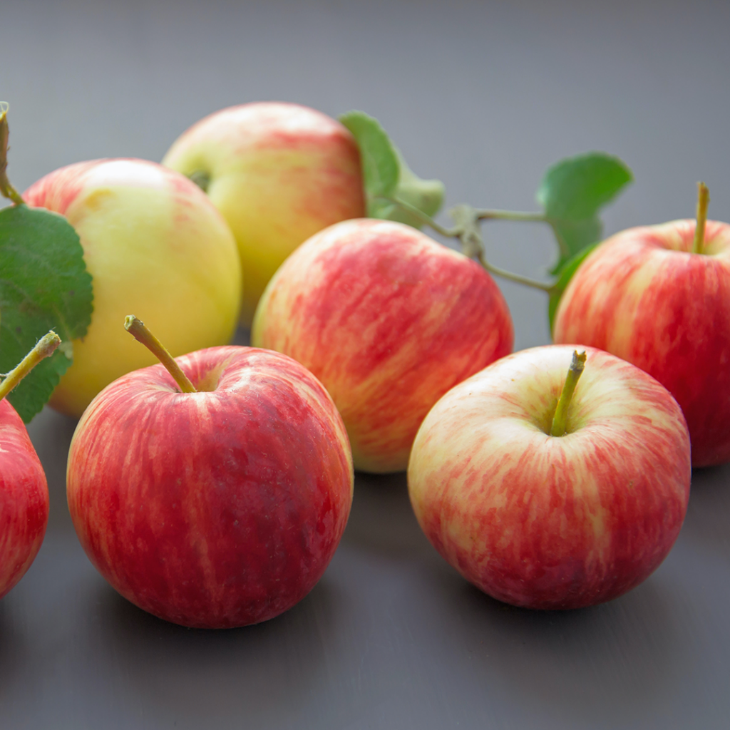 Apfel &amp; Mandel:Apfel-Marzipankuchen - Lubeca