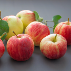 Apfelkuchen Lübecker Marzipan